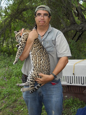 Predator Conservation, AC